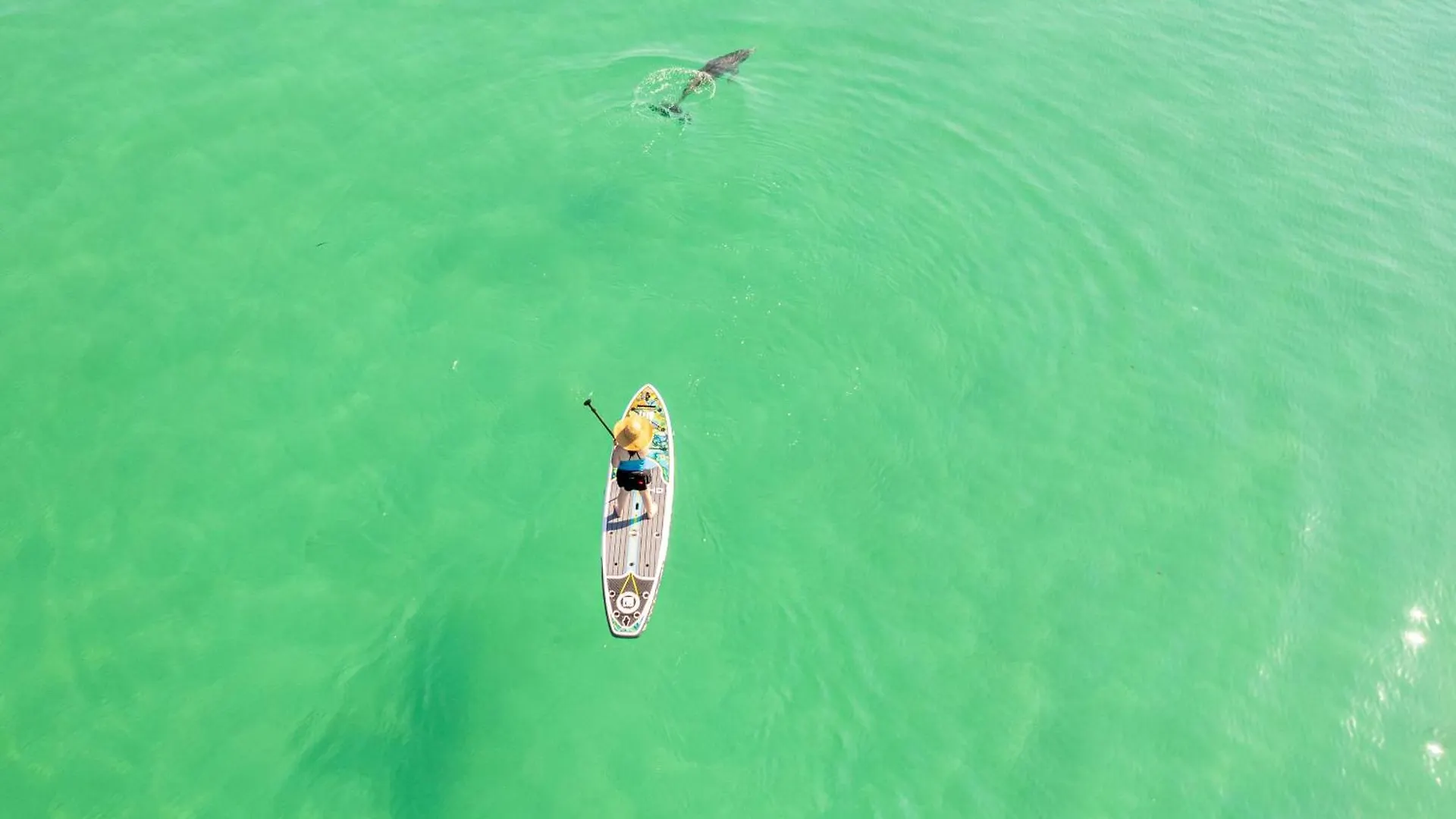 Sandpiper Cove 4133- By Holiday Isle Properties Destin United States