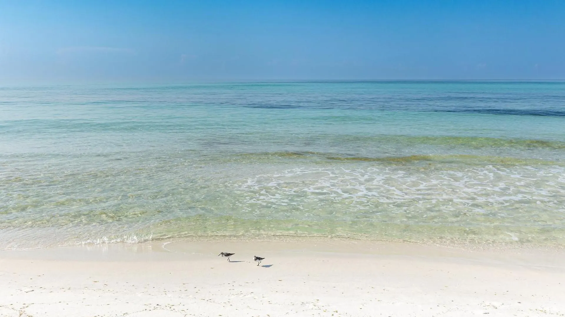 Apartment Sandpiper Cove 4133- By Holiday Isle Properties Destin
